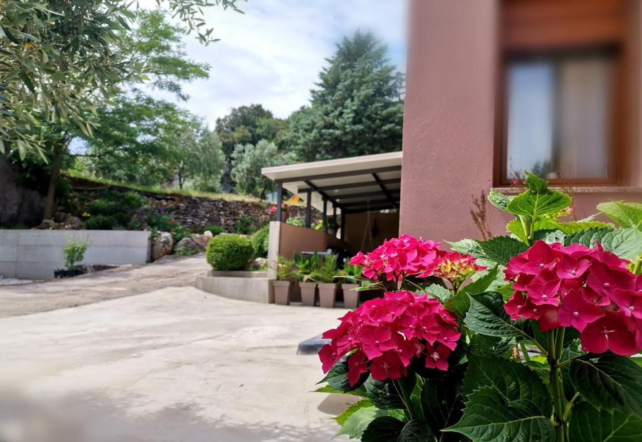 Cave With Free Parking Apartment Pula Bagian luar foto