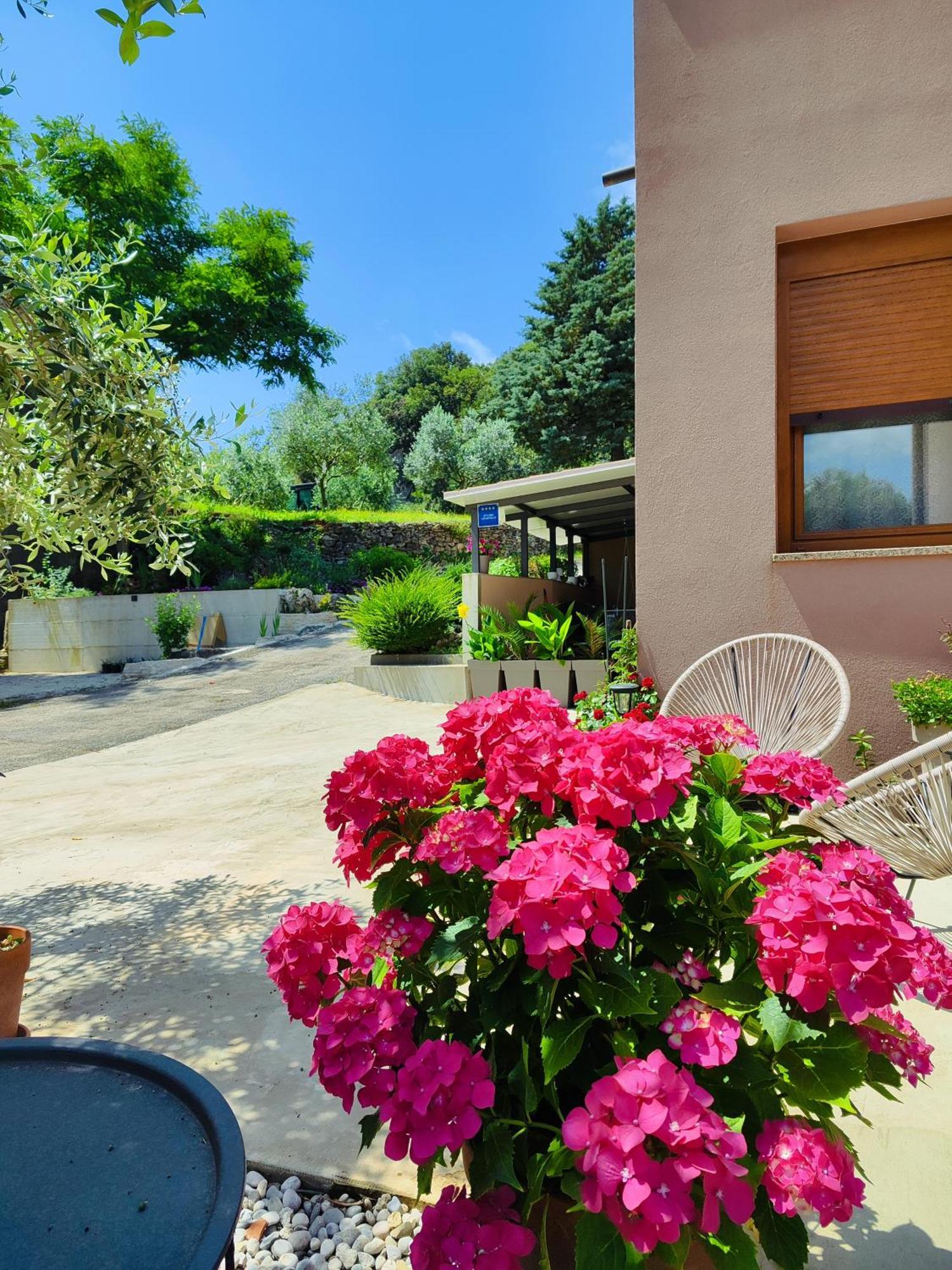 Cave With Free Parking Apartment Pula Bagian luar foto